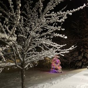 Meet your Posher, Mélanie